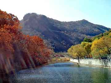 新澳门二四六天天彩，钢卷板